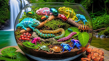 Hidden Treasures of the Amazon! Hand Catching Frogs, Lizards & Wild Bugs