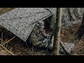 Na patrolu: zbierając siły