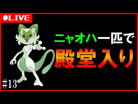 ニャオ様ご確認用 hqdefault.jpg?v=638c58cc