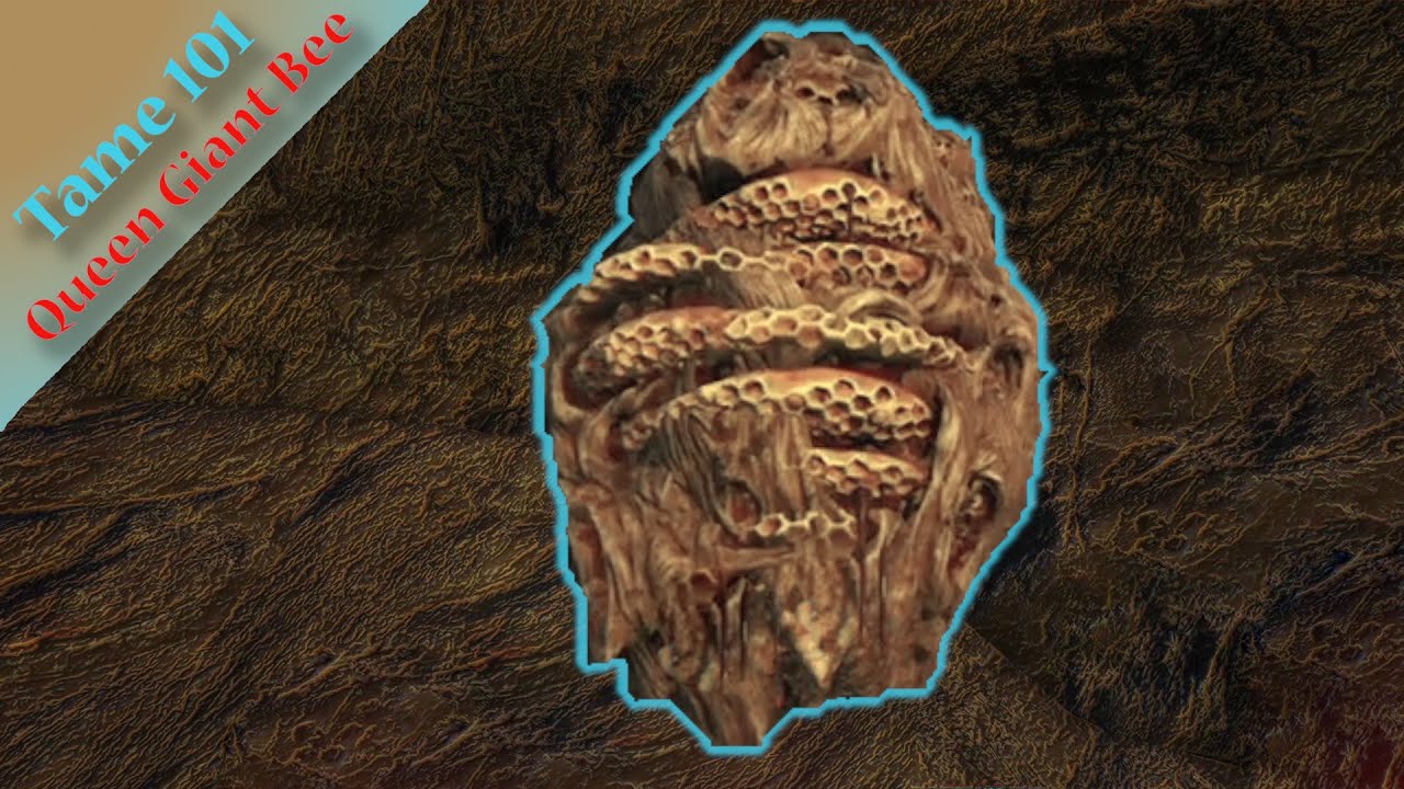 Taming 101 : Giant Queen Bee Get a Beehive!! | Ark Survival Evolved