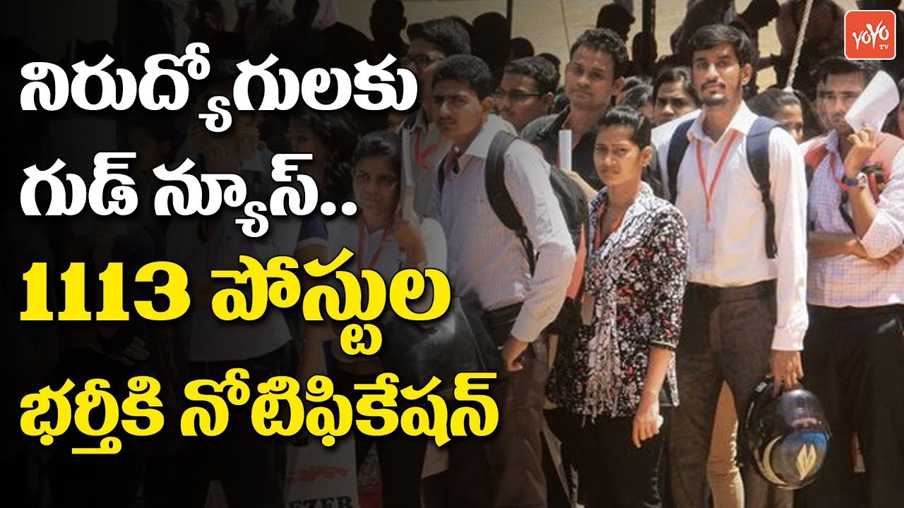 Good News to Unemployed: 1113 Mid Level Health Provider Jobs |  AP MLHP 2019 | YOYO TV Channel