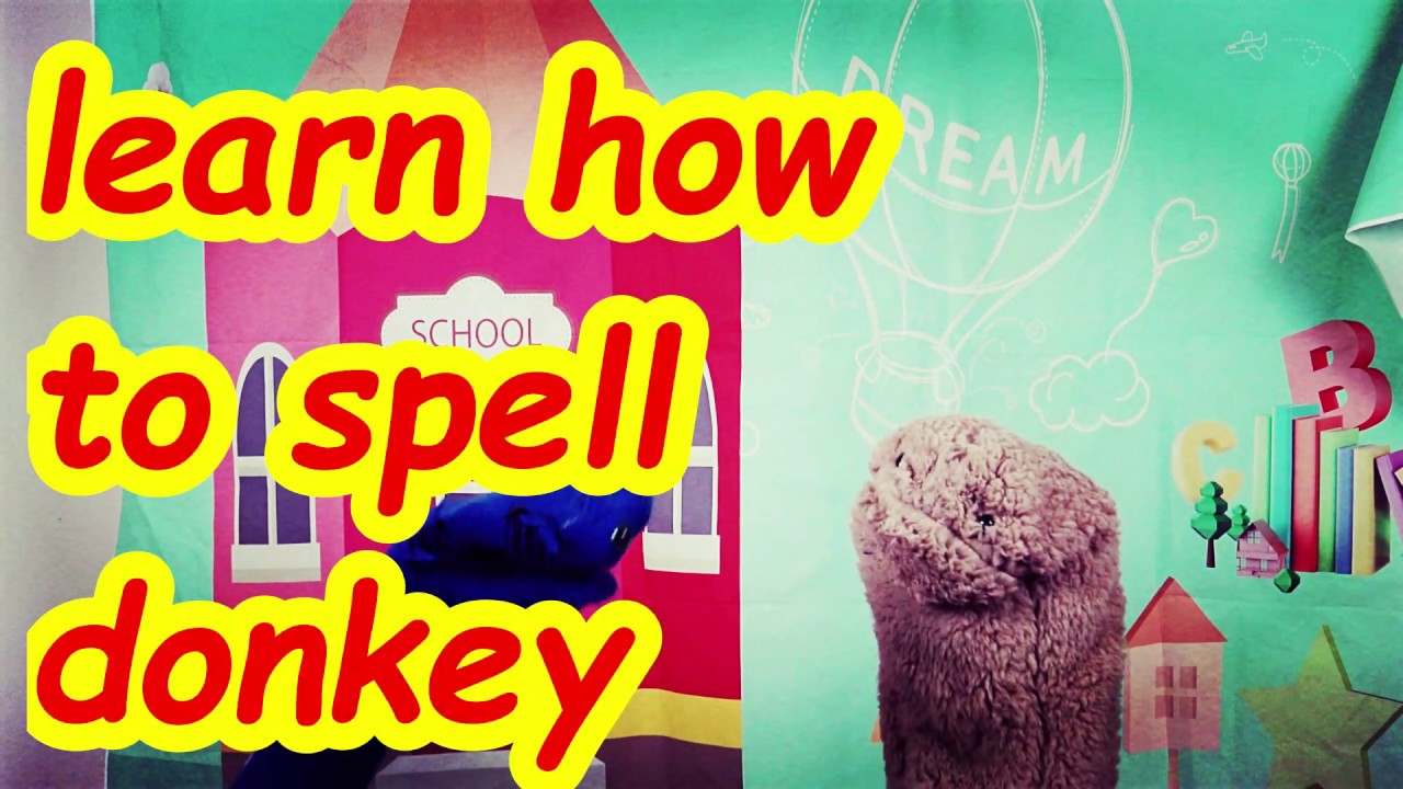 Spelling For Donkey Dummies With Tipper YouTube Spelling for donkey dummies with tipper youtube