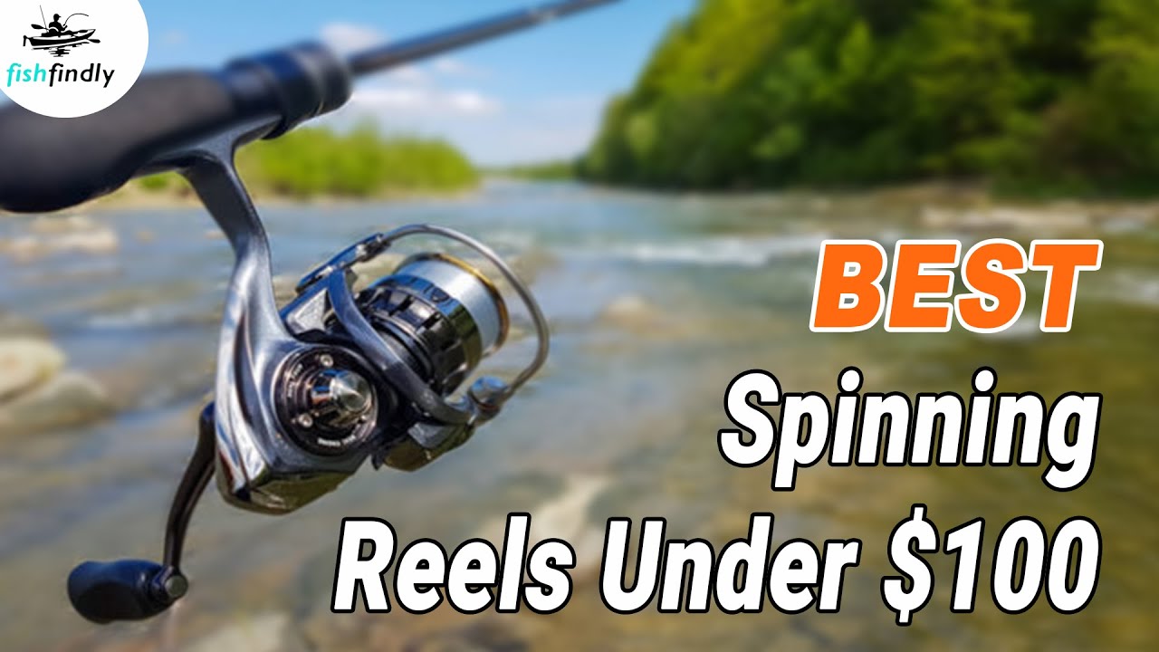 Best Spinning Reels Under $100 In 2020 – Top Models Reviewed! 