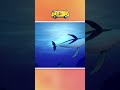 Busca y Canta Las Ruedas del Autobús GoGoBus – Submarino 🚍🌊 #shorts #kidssong #gogobusenespañol