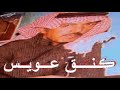 عيسى الاحسائي بين الشميسي والسباله عيسى الاحسائي بين الشميسي والسباله