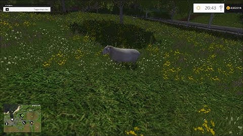 Farming Simulator 2015 - How to farm sheep guide