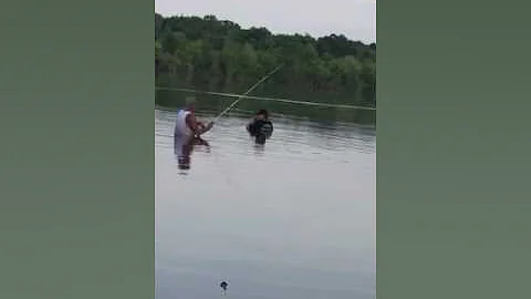 Wading in snake infested water