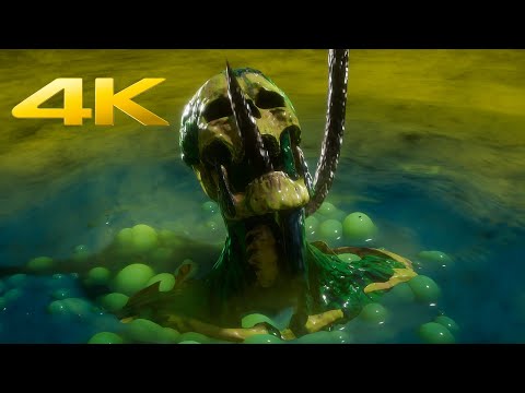 Mortal Kombat 11 All Stage Fatalities 4K 60FPS