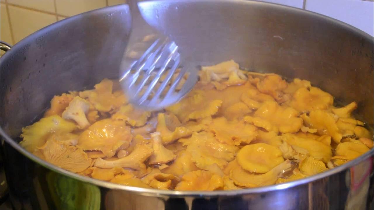 Сколько варить лисички для засолки. Грибы в кастрюле. классика с эффектом лисички. грибы лисички, можно с них варить груздянку.