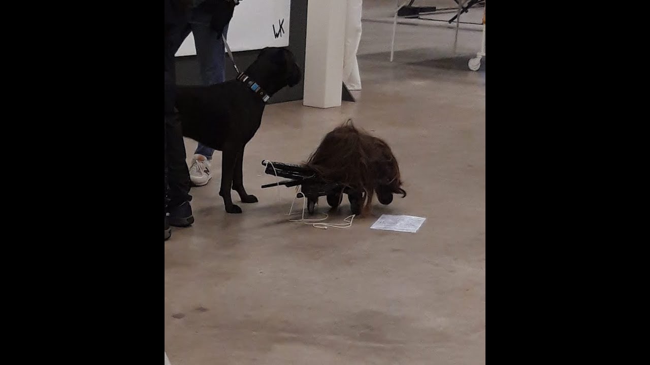 Shit, poopy, poop. Performance by Robert Pennekamp @NDSM-fuse