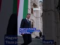 Hungarian lawmakers vote to oust Orban ally president | DW Shorts