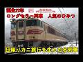 冬の名物カニ列車のひみつ【キハ65「特急はまかぜ」】