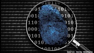 07 Digital Forensics Basics: Web Browser Forensics