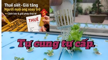 Bạn Có Đang Lãng Phí Tiền Vì Không Biết Tự Cung?