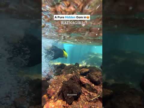 Ratnagiri x Maharashtra