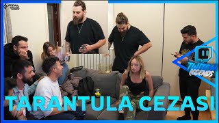 Elraenn Arena Of Valor Tarantula Cezasi Cemre Solmaz Unlost Enes Batur Laz Mi̇afi̇tz Hasan Mustan