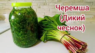 Черемша, Медвежий лук-кладезь витаминов/Заготавливаю впрок☝/Сибирь/Любимая деревня/