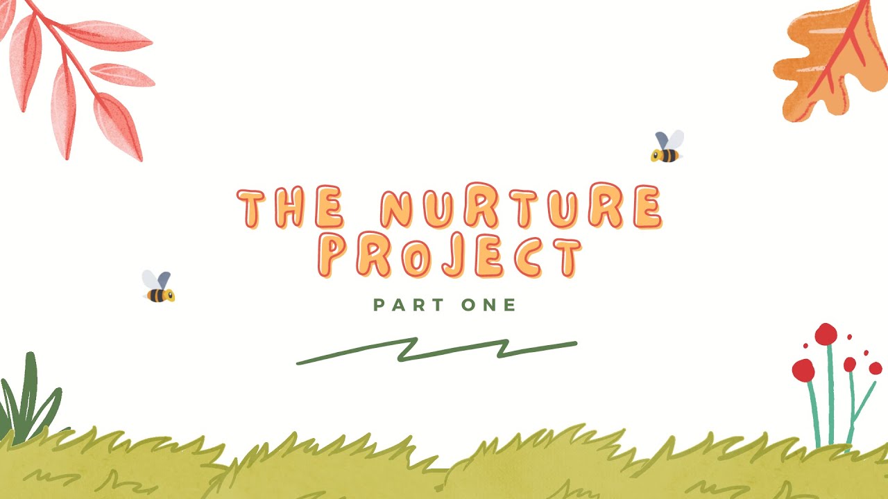 The Nurture Project Part One: Self Compassion - YouTube