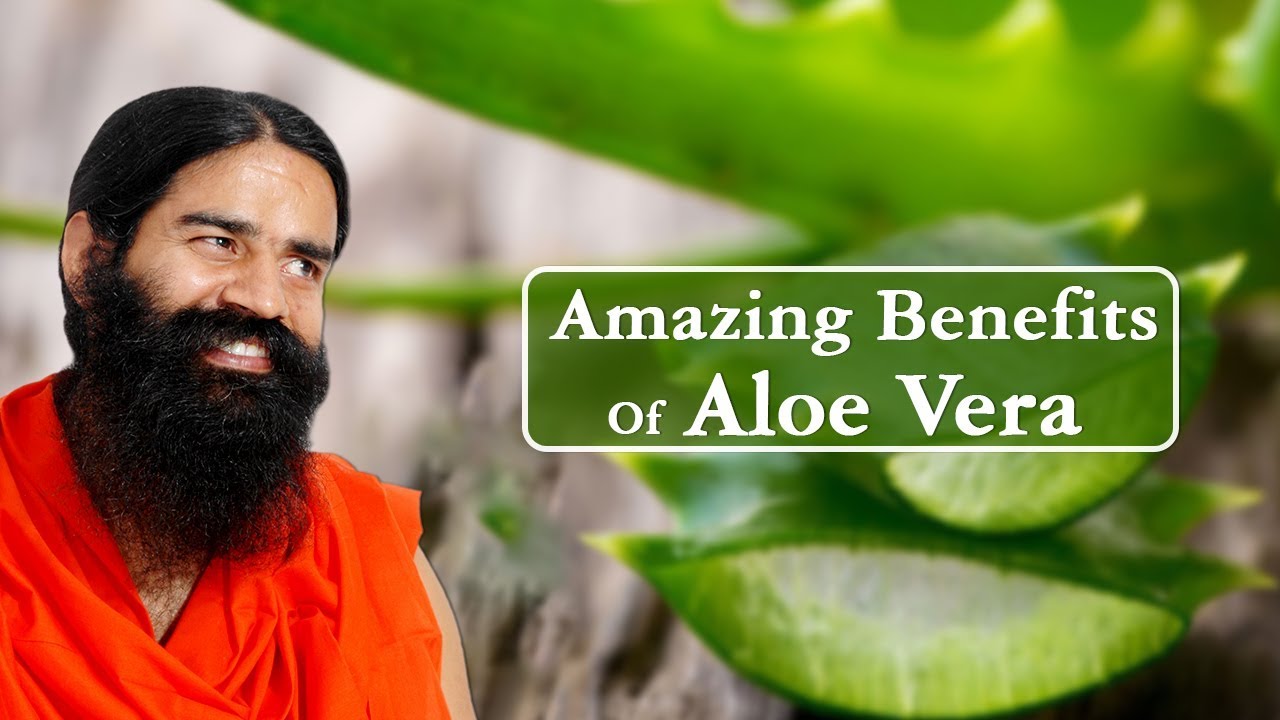 Amazing Benefits Of Aloe Vera (Ghritkumari) For Skin, Hair \u0026 Health