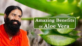 Amazing Benefits Of Aloe Vera (Ghritkumari) For Skin, Hair & Health screenshot 4