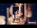 رمضان شهر البركه 