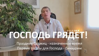 Праздник Седмиц – назначенное время. Первые плоды для Господа – биккурим. Господь грядёт! Маран-афа!