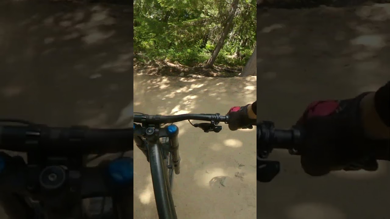 Black jump trail at Revelstoke