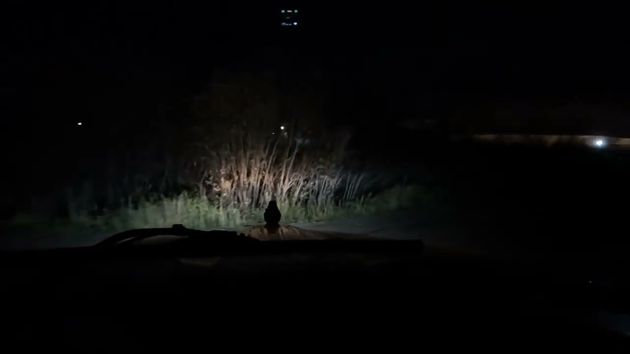 Кенворт - Т660  Усинск . Загрузка.  Тяжелый заезд на паром.