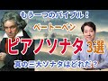 【ベートーベン：ピアノソナタ】もう一つのバイブル！月光？熱情？真の三大ソナタはどれか？ピアノソナタの魅力を紹介！