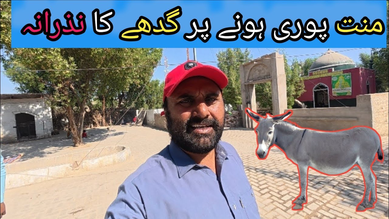 Dargah Hazrat Rajan Qatar urf Gadhe wale Baba Donkey and saint riding story miracles