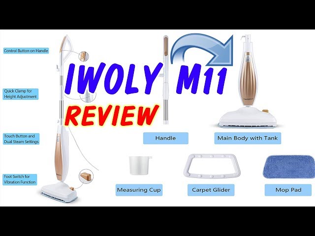 iwoly Air Fryer