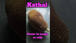#kathal #bastar ke #jungle ki #sabji #chhattisgarh #food #fish #yummy