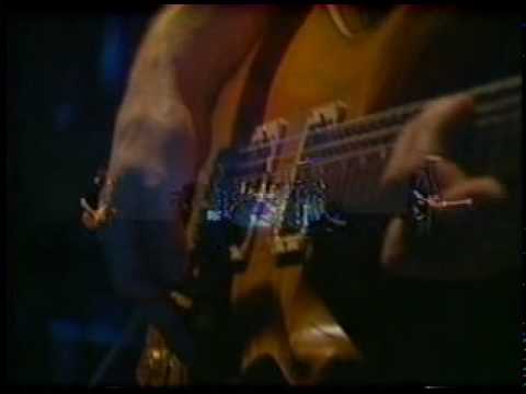 Too many puppies - Primus (live)