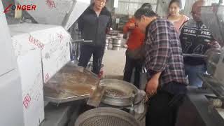 Commercial Grape Seeds Oil Press Machine|Soybean Oil Making Processing Machine