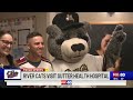 Sacramento River Cats visit patients at Sutter Health Rehabilitation Insitute