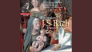 Download Lagu Orchestral Suite No. 2 in B Minor, BWV 1067: I. Ouverture MP3 Download Lagu Orchestral Suite No. 2 in B Minor, BWV 1067: I. Ouverture MP3