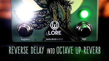 Reverse Delay into Octave Up Reverb - Walrus LORE program 2