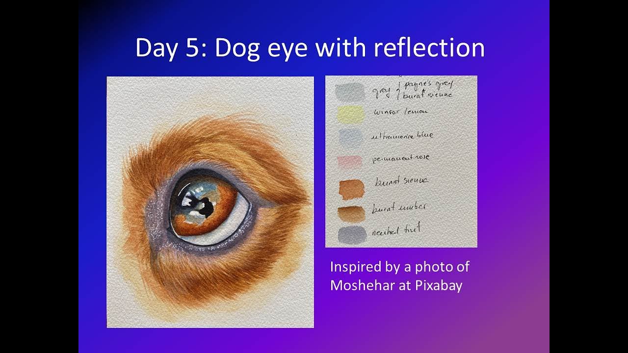 Painting a realistic dog eye in watercolors. Step by step petportraits