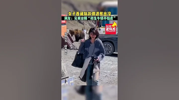 女子西藏旅游偶遇熊出没！网友：完美诠释“初生牛犊不怕虎”#热点新闻事件#新闻#搞笑#真实事件#奇闻趣事#shorts - 天天要闻