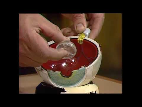 Looking at an opthalmoscope - Looking at an opthalmoscope