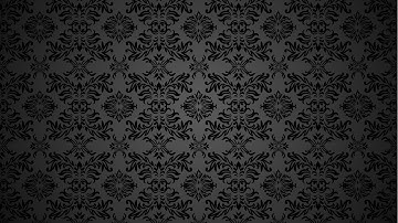 Live Coding: Vue + WordPress