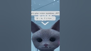 MICHAEL SPEELT MICHAEL