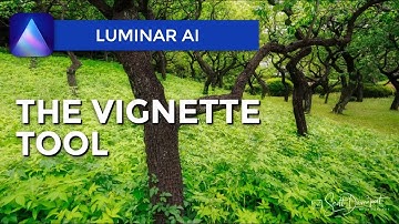 The Vignette Tool - Luminar AI