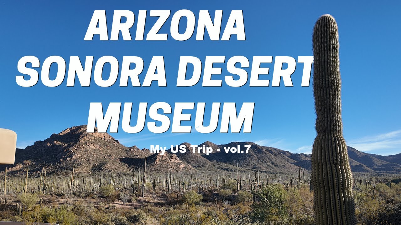 图森沙漠博物馆Vlog：不只是博物馆！| Arizona-Sonora Desert Museum: More Than a Museum!