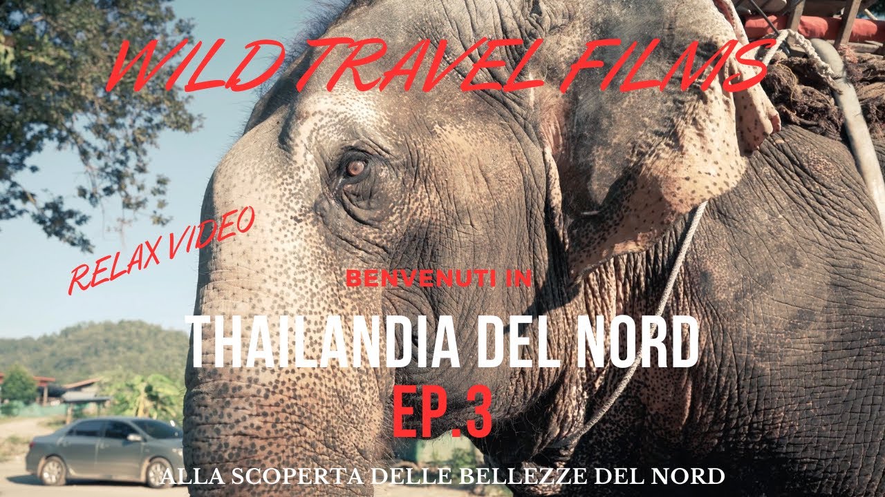 THAILANDIA DEL NORD EP.3  From Chiang Mai to Mae Hong Son (Relax video)