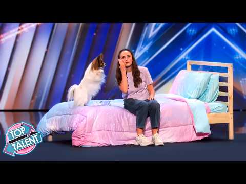 She Flew From England With Her Puppy… Then America Fell in Love!