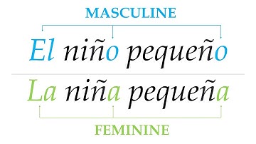 Feature Focus - Gender, Class, and Classifiers
