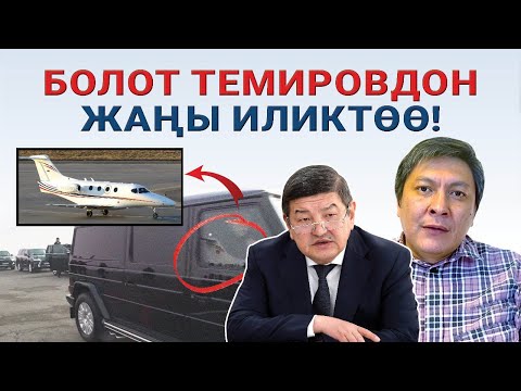 Video: Учак учуусунда үй жаныбарлары