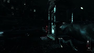 First Person Mod - Max Payne 3