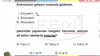 Üreme - Kkt - 71925